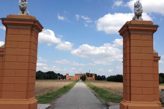 Fabio cristiani rappresentanze